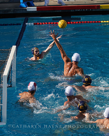 MWP: California Golden Bears vs UCLA Bruins