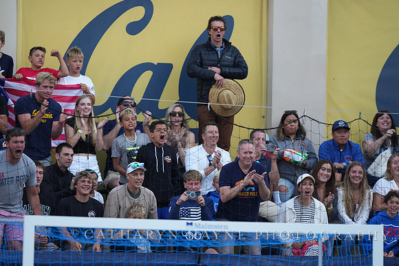 Fans