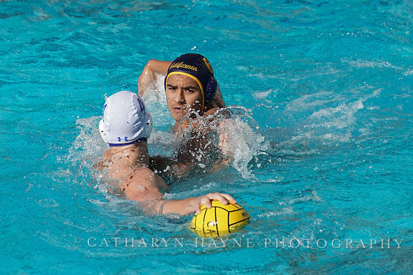 MWP: California Golden Bears vs UCLA Bruins