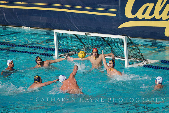 MWP: California Golden Bears vs UCLA Bruins