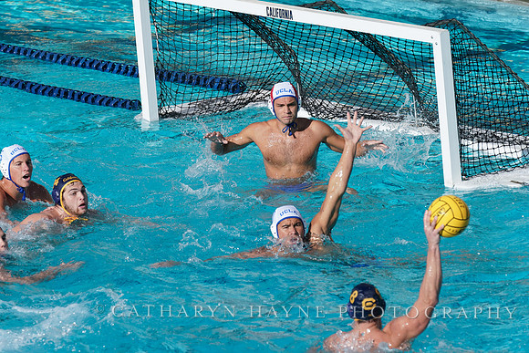 MWP: California Golden Bears vs UCLA Bruins