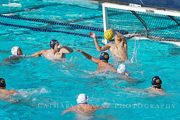 MWP: California Golden Bears vs UCLA Bruins