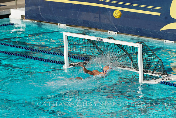MWP: California Golden Bears vs UCLA Bruins