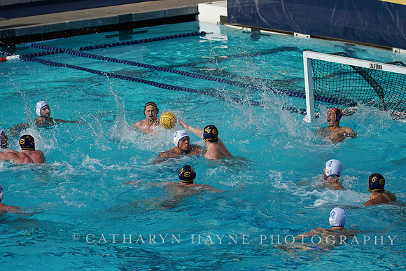MWP: California Golden Bears vs UCLA Bruins