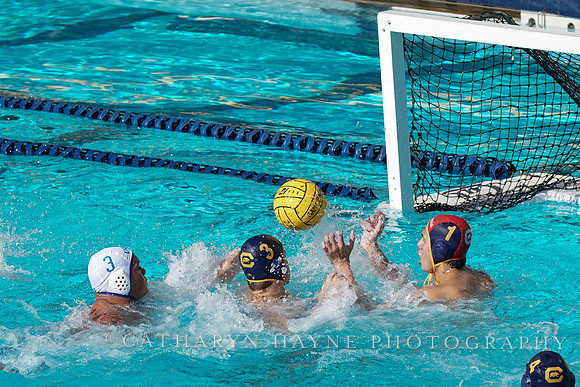 MWP: California Golden Bears vs UCLA Bruins
