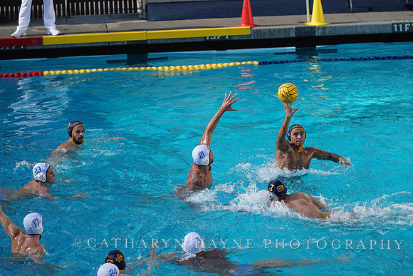 MWP: California Golden Bears vs UCLA Bruins