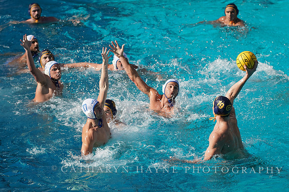 MWP: California Golden Bears vs UCLA Bruins