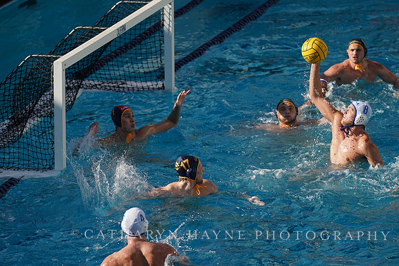 MWP: California Golden Bears vs UCLA Bruins