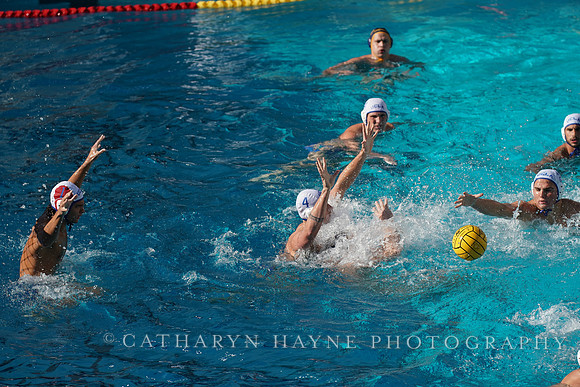 MWP: California Golden Bears vs UCLA Bruins