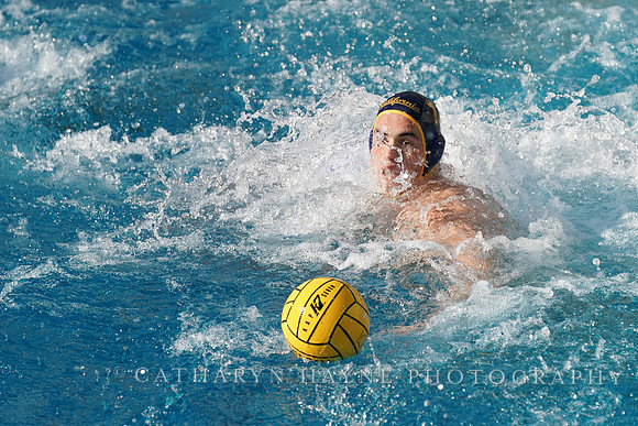MWP: California Golden Bears vs UCLA Bruins