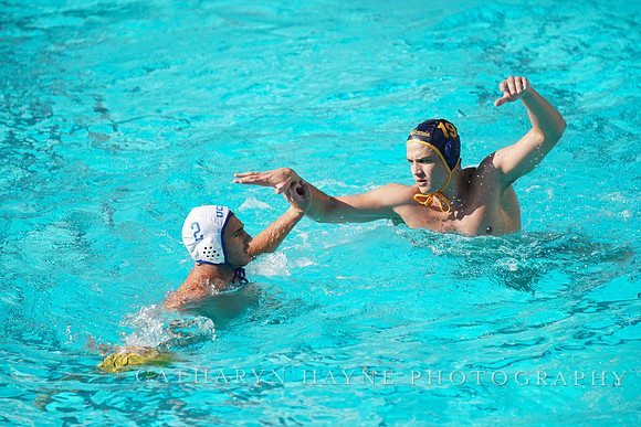 MWP: California Golden Bears vs UCLA Bruins