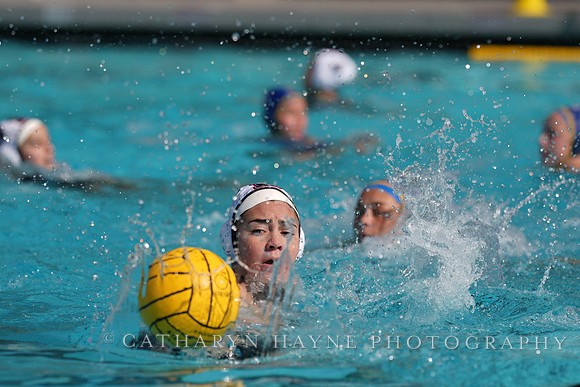 WWP: Brown University Bears vs SJSU Spartans