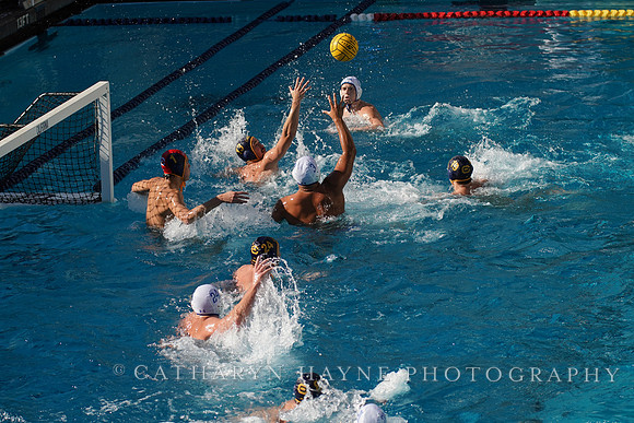 MWP: California Golden Bears vs UCLA Bruins