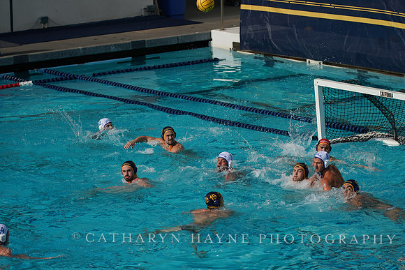 MWP: California Golden Bears vs UCLA Bruins
