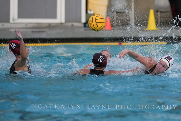 WWP: Brown University Bears vs Santa Clara Broncos