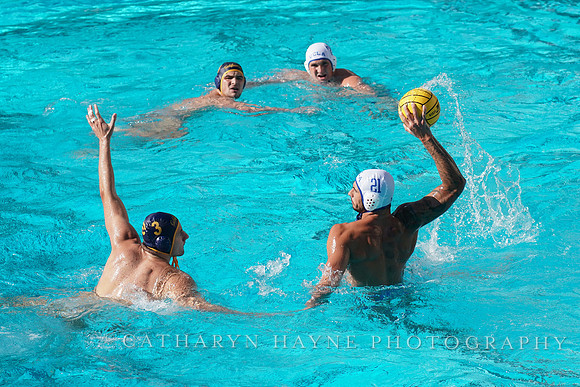 MWP: California Golden Bears vs UCLA Bruins