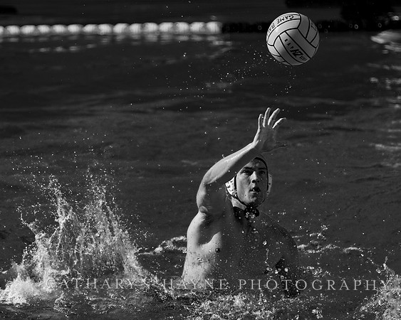 MWP: California Golden Bears vs UCLA Bruins