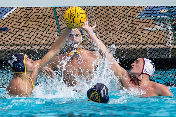 Cal vs Stanford at Mountain Pacific Sports Federation 2016