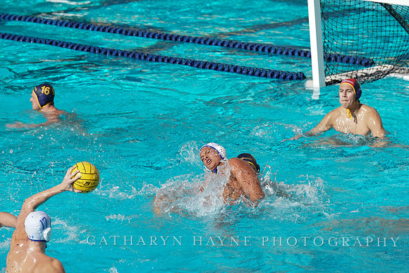 MWP: California Golden Bears vs UCLA Bruins