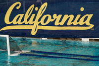 MWP: California Golden Bears vs UCLA Bruins
