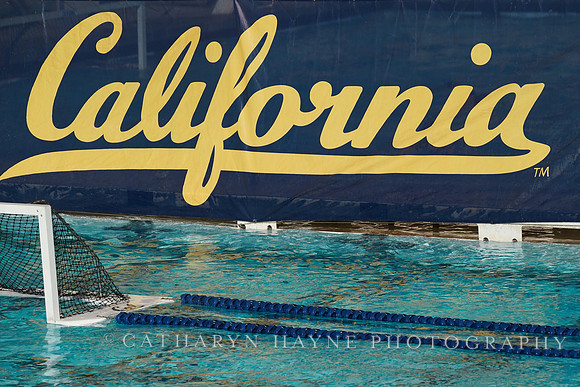 MWP: California Golden Bears vs UCLA Bruins