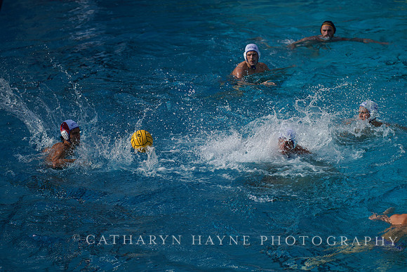 MWP: California Golden Bears vs UCLA Bruins