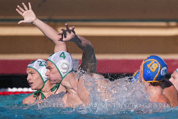 MWP: Salem University Tigers vs UCLA Bruins