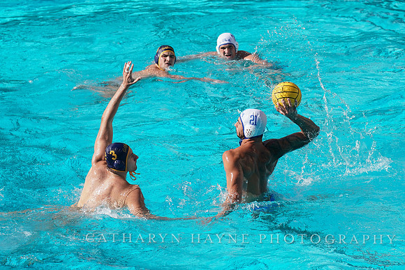 MWP: California Golden Bears vs UCLA Bruins