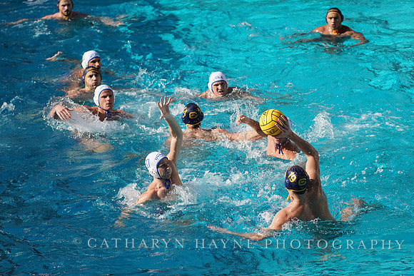 MWP: California Golden Bears vs UCLA Bruins