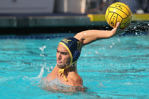 Collegiate Mens Water Polo: California Golden Bears vs UC Santa Barbara Gauchos