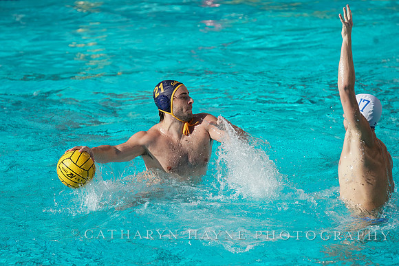 MWP: California Golden Bears vs UCLA Bruins