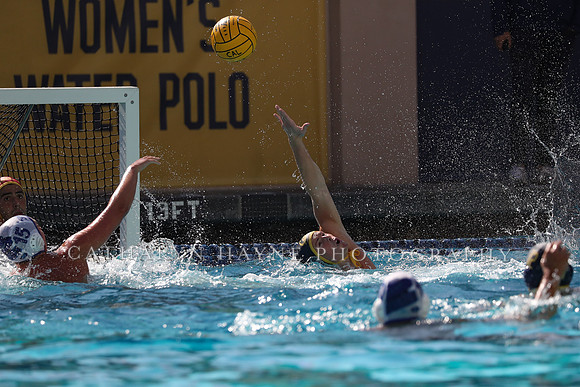 Collegiate Mens Water Polo: California Golden Bears vs UC Santa Barbara Gauchos