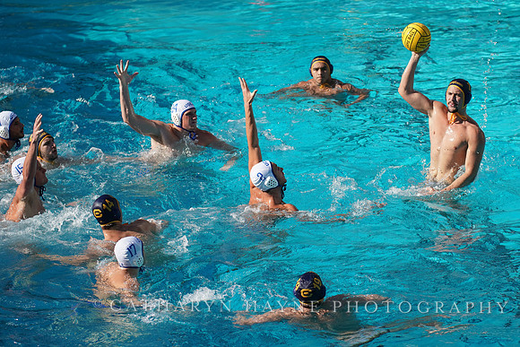 MWP: California Golden Bears vs UCLA Bruins