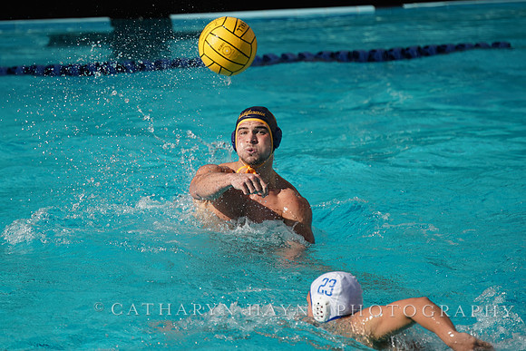 MWP: California Golden Bears vs UCLA Bruins