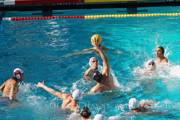 MWP: California Golden Bears vs UCLA Bruins