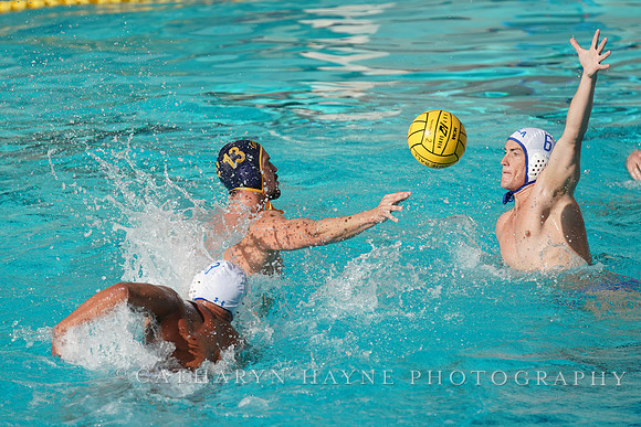 MWP: California Golden Bears vs UCLA Bruins