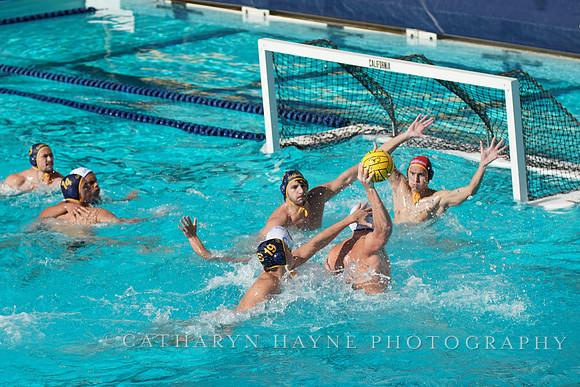 MWP: California Golden Bears vs UCLA Bruins