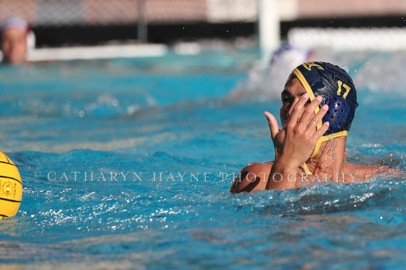 Collegiate Mens Water Polo: MPSF Invitational: California Golden Bears vs UC Santa Barbara Gauchos