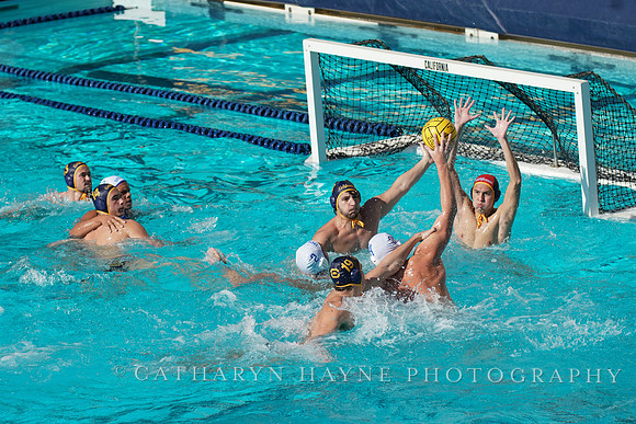 MWP: California Golden Bears vs UCLA Bruins