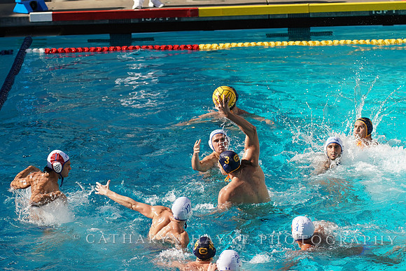 MWP: California Golden Bears vs UCLA Bruins