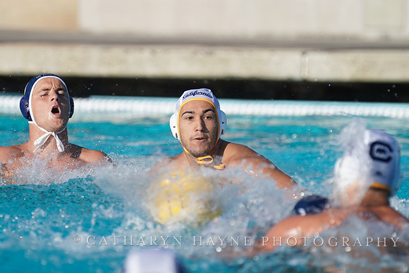 MWP:UC Davis Aggies vs California Golden Bears