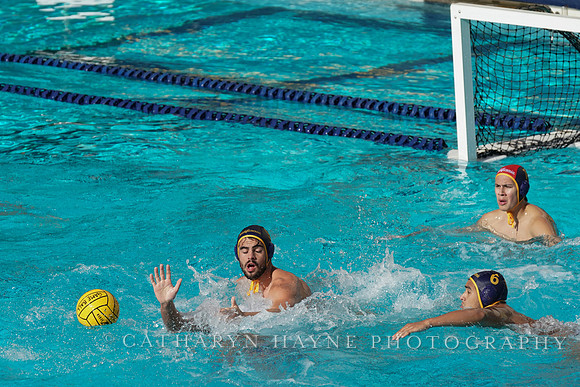 MWP: California Golden Bears vs UCLA Bruins