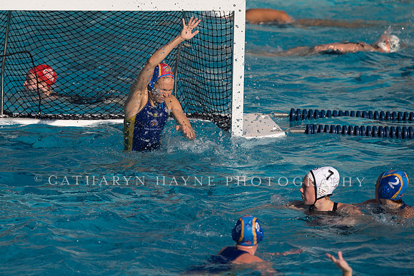 Cal vs SJSU at California Speedo Cup