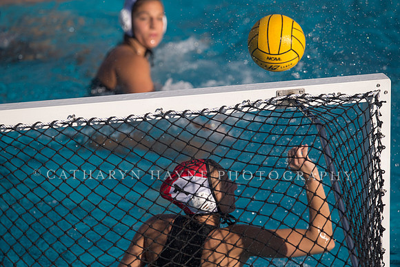 Cal vs SJSU at California Speedo Cup