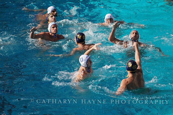 MWP: California Golden Bears vs UCLA Bruins