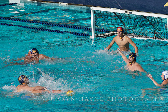 MWP: California Golden Bears vs UCLA Bruins
