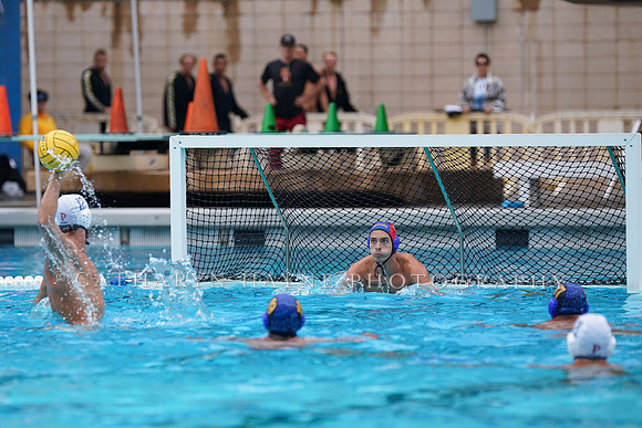 MWP:California Golden Bears vs UCSB Gauchos