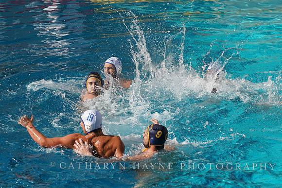 MWP: California Golden Bears vs UCLA Bruins