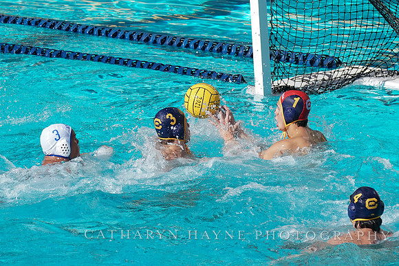 MWP: California Golden Bears vs UCLA Bruins