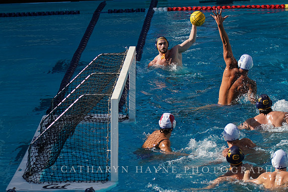 MWP: California Golden Bears vs UCLA Bruins